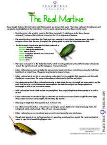 If you thought illustrator Michael Austin made Martina green just for fun, think again! The Cuban cockroach is bright green and can also be found right here in the United States. Here are some interesting facts about the