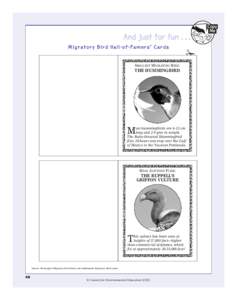 Bird flight / Bird migration / Blackpoll Warbler / Arctic Tern / Smithsonian Migratory Bird Center / Bird / American Golden Plover / Zoology / Ornithology / Biology