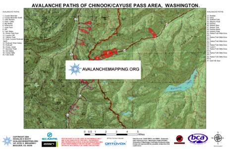 AVALANCHE PATHS OF CHINOOK/CAYUSE PASS AREA, WASHINGTON. c 81 AVALANCHE PATHS