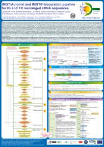 Im Muno Gene Tics  IMGT/Automat and IMGT® biocuration pipeline