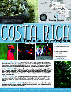 COSTA RICA Students complete more than 20 hours of research during beach patrols and research investigation, as well as 30+ hours of coursework and hands-on instruction in sea turtle biology, rainforest ecology, and cons