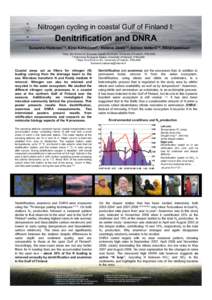 Nitrogen cycling in coastal Gulf of Finland I:  Denitrification and DNRA Susanna Hietanen1,2, Kirsi Kähkönen3, Helena Jäntti1,2, Adrien Vetterli1,2, Elina Leskinen1 1