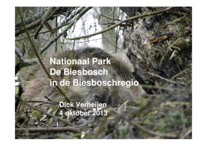 Nationaal Park De Biesbosch in de Biesboschregio Dick Verheijen 4 oktober 2013