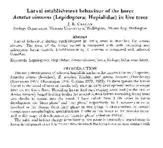 Larval establishment behaviour of the borer Aenetus virescens (Lepidoptera: Hepialidae) in live trees J . R . GREHAN