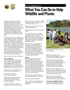 U.S. Fish & Wildlife Service  What You Can Do to Help Wildlife and Plants  Private citizens can play a critical role