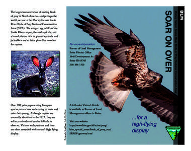 SoarOver brochure.indd 1  Photography: Rough-legged Hawk, ©Rob Palmer For more information: Bureau of Land Management