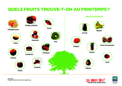 QUELS FRUITS TROUVE-T-ON AU PRINTEMPS ? FRUITS EXOTIQUES Orange sanguine Fraise