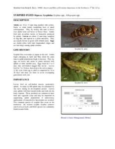 Modified from Ralph E. Berry. 1998©. Insects and Mites of Economic Importance in the Northwest. 2nd Ed. 221 p.  SYRPHID FLIES Diptera: Syrphidae Syrphus spp., Allograpta spp. ____________________________________________