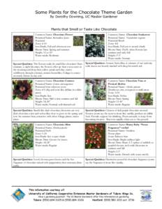 Biology / Solenostemon scutellarioides / Coleus / Ageratina altissima / Heucherella / Hakonechloa / Lamiaceae / Botany / Flora
