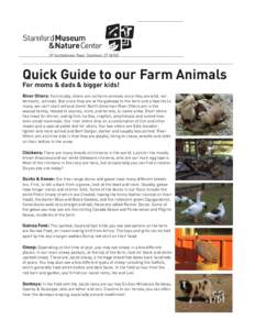 39 Scofieldtown Road, Stamford, CTQuick Guide to our Farm Animals For moms & dads & bigger kids!  River Otters: Technically, otters are not farm animals since they are wild, not