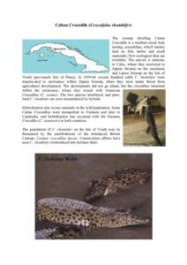 Cuban Crocodile (Crocodylus rhombifer) The swamp dwelling Cuban Crocodile is a medium sized, hole nesting crocodilian, which mainly feed on fish, turtles and small mammals. Few ecological data are