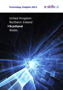 Information technology education / E-skills UK / Chief information officer / BT Group / Further education / Economy of Scotland / Education / Information technology / Sector Skills Councils