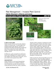 Pest Management – Invasive Plant Control Garlic Mustard (Alliaria petiolata) Conservation Practice Job Sheet MN-797 Garlic mustard (Alliaria petiolata)