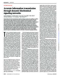 SYSTEMS BIOLOGY  Accurate information transmission through dynamic biochemical signaling networks Jangir Selimkhanov,1* Brooks Taylor,1* Jason Yao,2 Anna Pilko,2 John Albeck,3