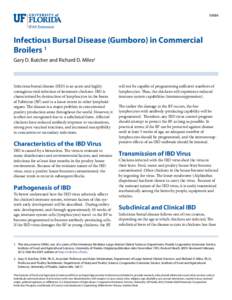 VM84  Infectious Bursal Disease (Gumboro) in Commercial Broilers 1 Gary D. Butcher and Richard D. Miles2