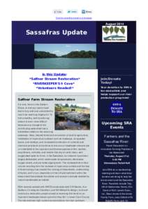 Sassafras Update- August 2014