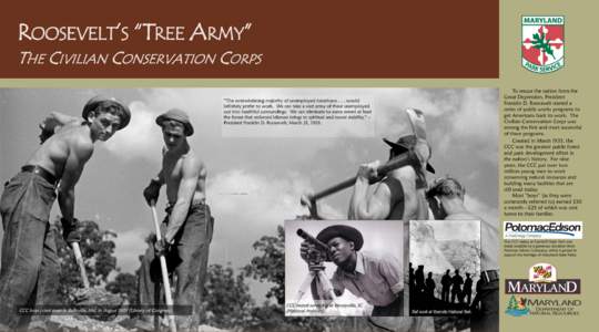 ROOSEVELT’S “TREE ARMY” THE CIVILIAN CONSERVATION CORPS To rescue the nation from the Great Depression, President Franklin D. Roosevelt started a series of public works programs to