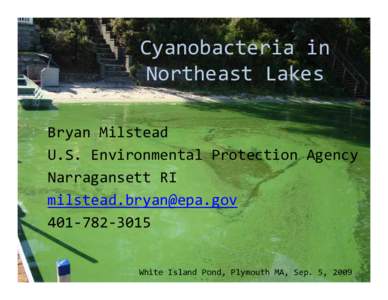 Cyanobacteria in  Northeast Lakes Bryan Milstead U.S. Environmental Protection Agency Narragansett RI [removed]