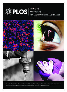 Image Credits: (clockwise from top left) James M. McCoy. PLOS Pathogens[removed]); Ray Lopez, DownTown Pictures. Flickr.com; Lauren Sullivan. PLOS Neglected Tropical Diseases[removed]); Rudhach. Flickr.com. PLOS Me