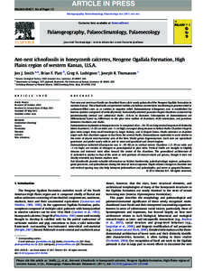 Ant-nest ichnofossils in honeycomb calcretes, Neogene Ogallala Formation, High Plains region of western Kansas, U.S.A.