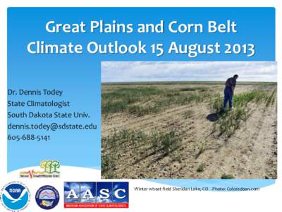 Great Plains and Corn Belt Climate Outlook 15 August 2013 Dr. Dennis Todey State Climatologist South Dakota State Univ. [removed]