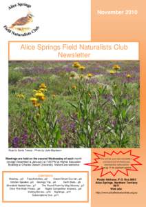 November[removed]Alice Springs Field Naturalists Club Newsletter  Ghost Gum near Running Waters by Jim Lawrence