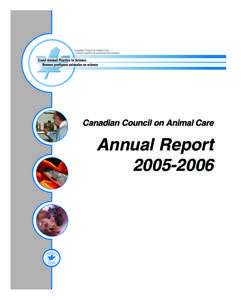 CCAC Annual Report[removed]