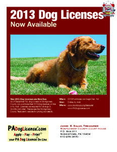 2013 Dog Licenses Now Available Your 2013 Dog Licenses are Now Due As of December 1st, dog owners in Montgomery County can purchase their 2013 dog licenses on line