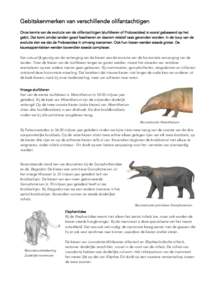 Gebitskenmerken van verschillende olifantachtigen Onze kennis van de evolutie van de olifantachtigen (slurfdieren of Proboscidea) is vooral gebaseerd op het gebit. Dat komt omdat tanden goed fossiliseren en daarom relati