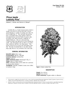 Fact Sheet ST-478 October 1994 Pinus taeda Loblolly Pine1 Edward F. Gilman and Dennis G. Watson2