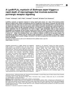 Immune system / G protein coupled receptors / Ion channels / Ectonucleotidase / Hydrolases / Purinergic receptor / P2X purinoreceptor / Pannexin / Apoptosis / Biology / Cell biology / Cell signaling