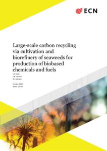 Large-scale carbon recycling via cultivation and biorefinery of seaweeds for production of biobased chemicals and fuels J.H. Reith