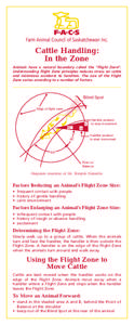 Cattle Handling: In the Zone Animals have a natural boundary called the “Flight Zone”. Understanding Flight Zone principles reduces stress on cattle and minimizes accidents to handlers. The size of the Flight Zone va