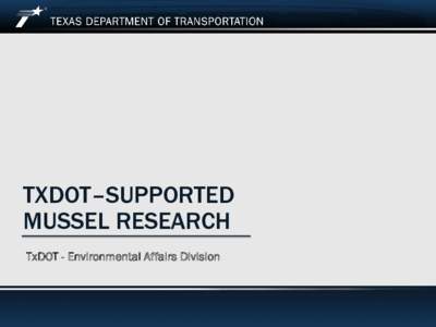 TXDOT–SUPPORTED MUSSEL RESEARCH TxDOT - Environmental Affairs Division Why is TxDOT involved in mussel research?  TxDOT is responsible for the construction and maintenance of bridges.