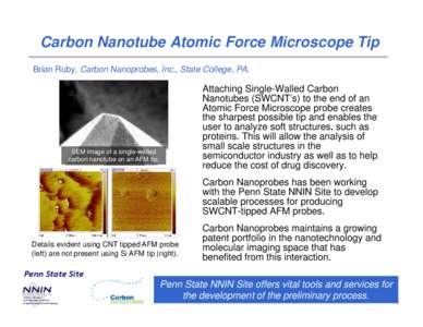 Carbon Nanotube Atomic Force Microscope Tip Brian Ruby, Carbon Nanoprobes, Inc., State College, PA.
