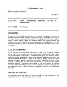 Microsoft Word - Court IT Analyst.doc