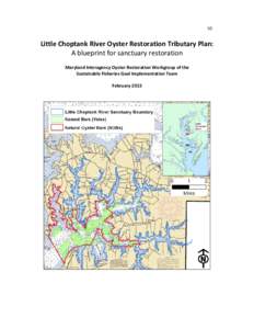 Microsoft Word - Little Choptank Tributary Plan V1