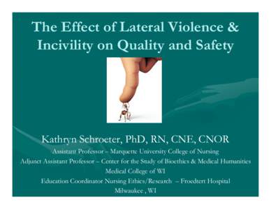 The Effect of Lateral Violence & Incivility on Quality and Safety Kathryn Schroeter, PhD, RN, CNE, CNOR Assistant Professor – Marquette University College of Nursing Adjunct Assistant Professor – Center for the Study