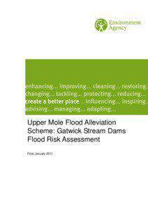Upper Mole Flood Alleviation Scheme: Gatwick Stream Dams Flood Risk Assessment