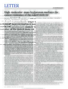 LETTER  doi:[removed]nature12234 High-molecular-mass hyaluronan mediates the cancer resistance of the naked mole rat