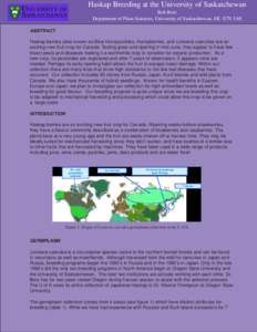 Haskap Breeding at the University of Saskatchewan Bob Bors Department of Plant Sciences, University of Saskatchewan, SK S7N 5A8 ABSTRACT Haskap berries (also known as Blue Honeysuckles, Honeyberries, and Lonicera caerule