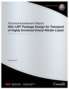 Technical assessment report: NAC-LWT package design for transport of highly enriched uranyl nitrate liquid