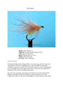 CDC BWO  HOOK: TMC 900 BL # 14 THREAD: Textreme Double Thread, 02-olive TAIL: Spinner Tails, brown BODY: Hareline SFD, bwo olive