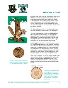 Land use / Bark / Tree / Pulp / Paperboard / Plantation / TAPPI / Wood / Reforestation / Forestry / Land management / Paper