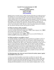 Cucurbit Virus Control Strategies for 2008 T. A. Zitter Department of Plant Pathology Cornell University Ithaca, NY[removed]removed]