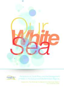 Our White Sea Reflections on Youth Policy and the Management of NGOs in the Europe and Mediterranean Regions Extracts from “Our White Sea” Conference, Euro-Med Youth Platform
