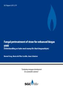 SGC Rapport 2013:279  Fungal pretreatment of straw for enhanced biogas yield (Förbehandling av halm med svamp för ökat biogasutbyte) Xinmei Feng, Maria del Pilar Castillo, Anna Schnürer