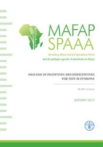 Analysis of incentives and disincentives for teff in Ethiopia