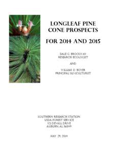 Controlled burn / Blackwater River State Forest / Conifer cone / Pine / Flora of the United States / Pinus palustris / Cone