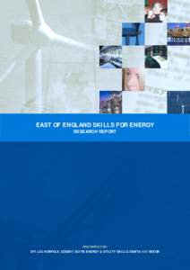 EAST OF ENGLAND SKILLS FOR ENERGY RESEARCH REPORT PREPARED FOR: DTI, LSC NORFOLK, COGENT, ECITB, ENERGY & UTILITY SKILLS, SEMTA AND EEEGR